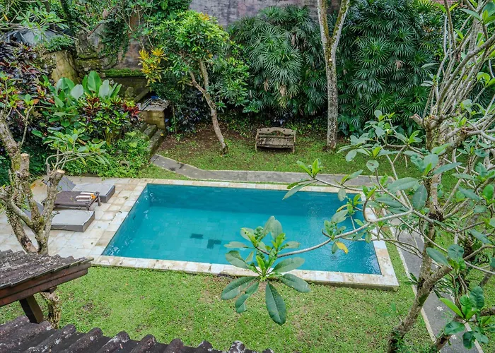Ferienhaus Ruben - 4 Bedrooms Jungle