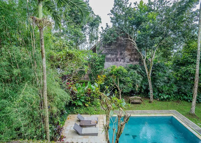 Ruben - 4 Bedrooms Jungle Ferienhaus