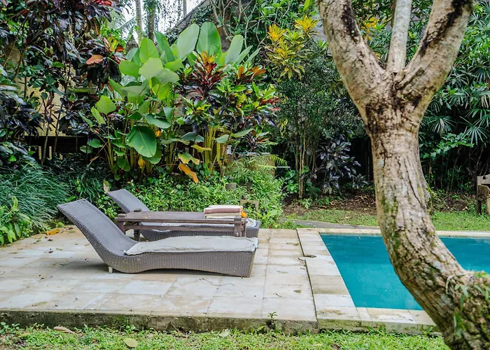 Ruben - 4 Bedrooms Jungle * Ubud