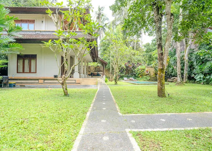Ruben - 4 Bedrooms Jungle