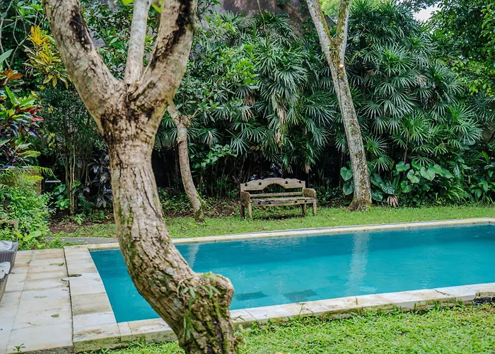 Ruben - 4 Bedrooms Jungle *