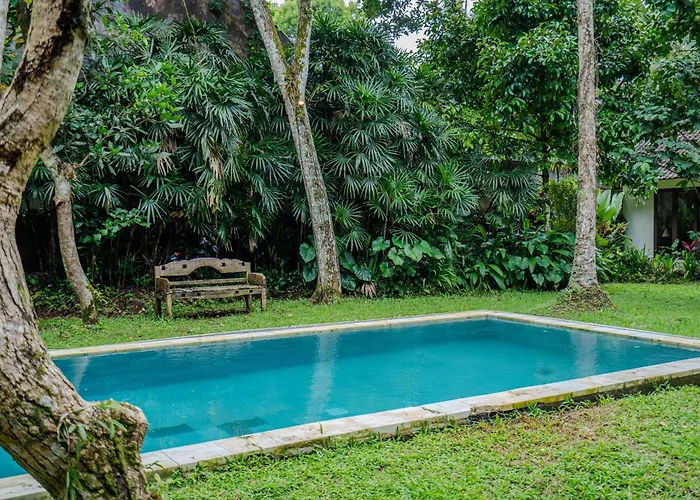 Ruben - 4 Bedrooms Jungle *